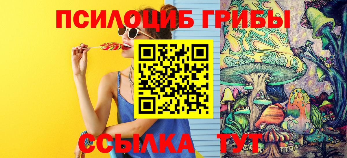 Прокопьевск  Псилоцибиновые грибы ЛСД  Вход с VPN 